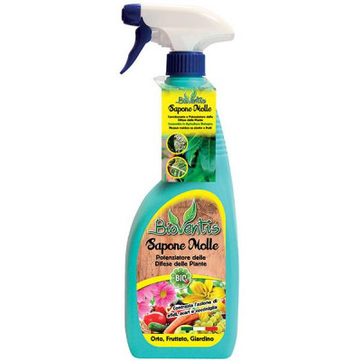 Sapone molle 550ml