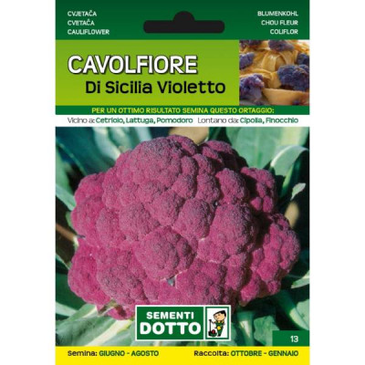 Semi- Cavolfiore Di Sicilia Violetto