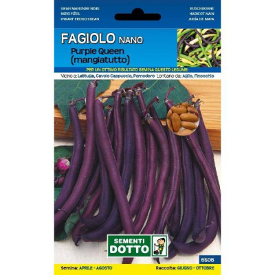 Semi - Fagiolo Purple Queen